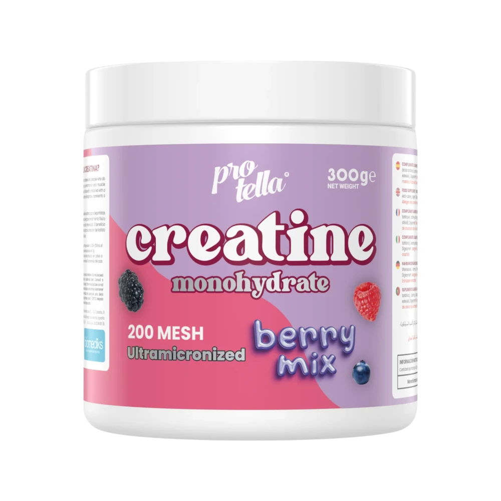 Creatina Mesh 200 Protella
