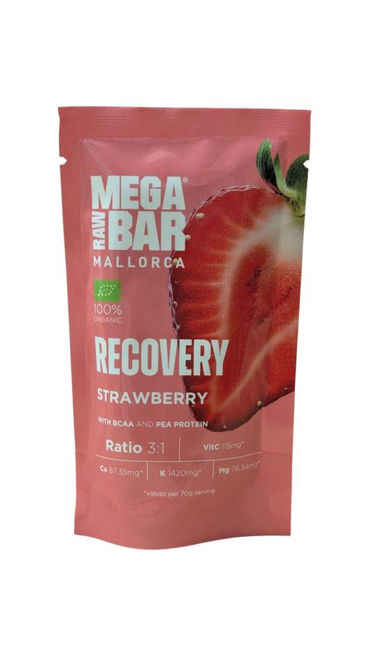 MINI RECOVERY 70g - BODYMANIA MEGARAWBAR Fresa