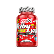 TRIBULYN 90% 90CAPS - BODYMANIA AMIX Default Title